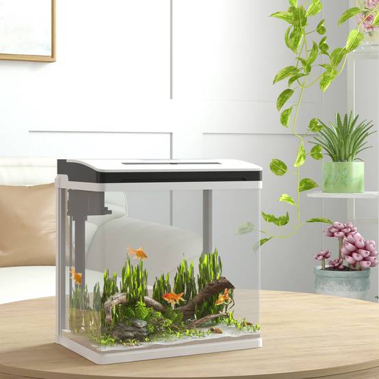 Sans Marque - Aquarium 43L en Verre Trempé avec Tapis de Protection Pour Poissons, Crevettes, Tortues, 50 x 30 x 30 cm, Transparent - Image 3