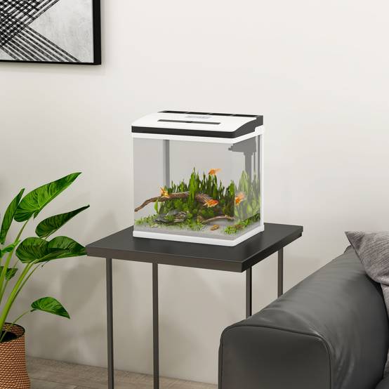 Sans Marque - Aquarium 43L en Verre Trempé avec Tapis de Protection Pour Poissons, Crevettes, Tortues, 50 x 30 x 30 cm, Transparent - Image 4