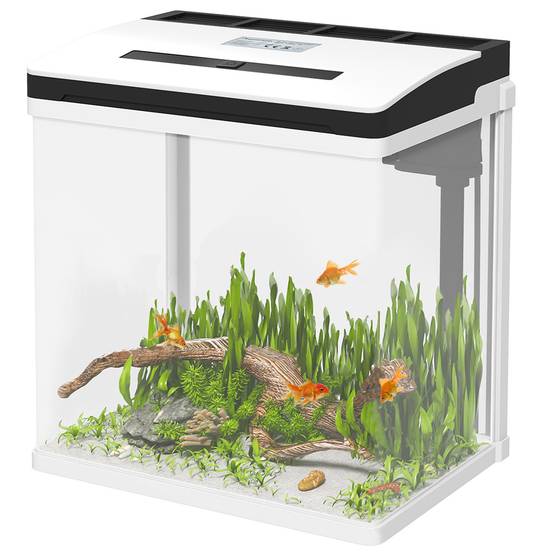 Sans Marque - Aquarium 43L en Verre Trempé avec Tapis de Protection Pour Poissons, Crevettes, Tortues, 50 x 30 x 30 cm, Transparent - Image 2