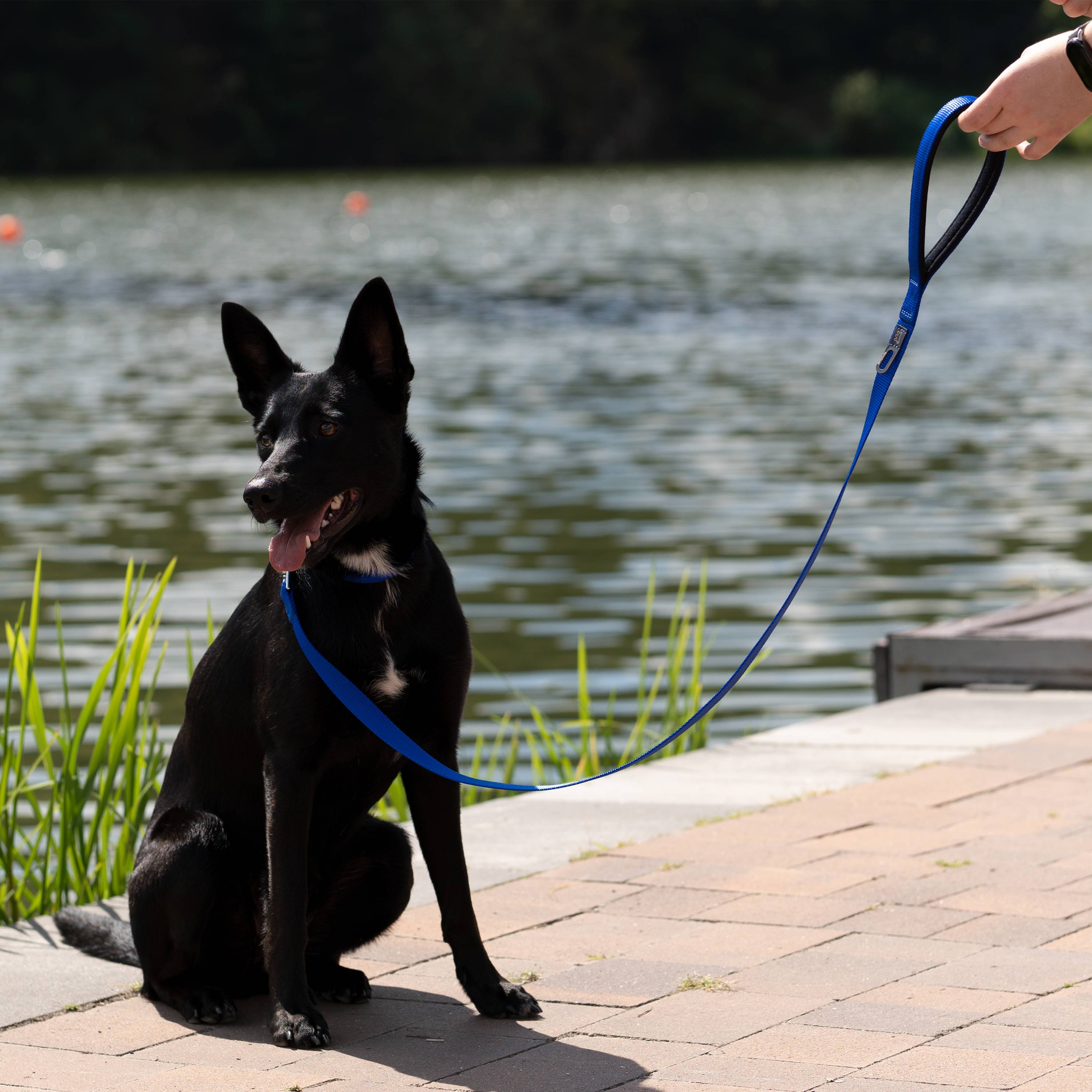Ferplast - Ferplast laisse pour chien DAYTONA, Laisse en nylon pour chiens de taille moyenne, 120 cm, avec poignée rembourrée confortable et mousqueton en métal. - Imagen 3