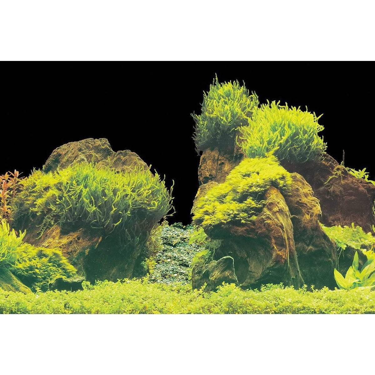 Superfish - Poster décoratif aquarium étanche coraux 120x49 cm - SUPERFISH