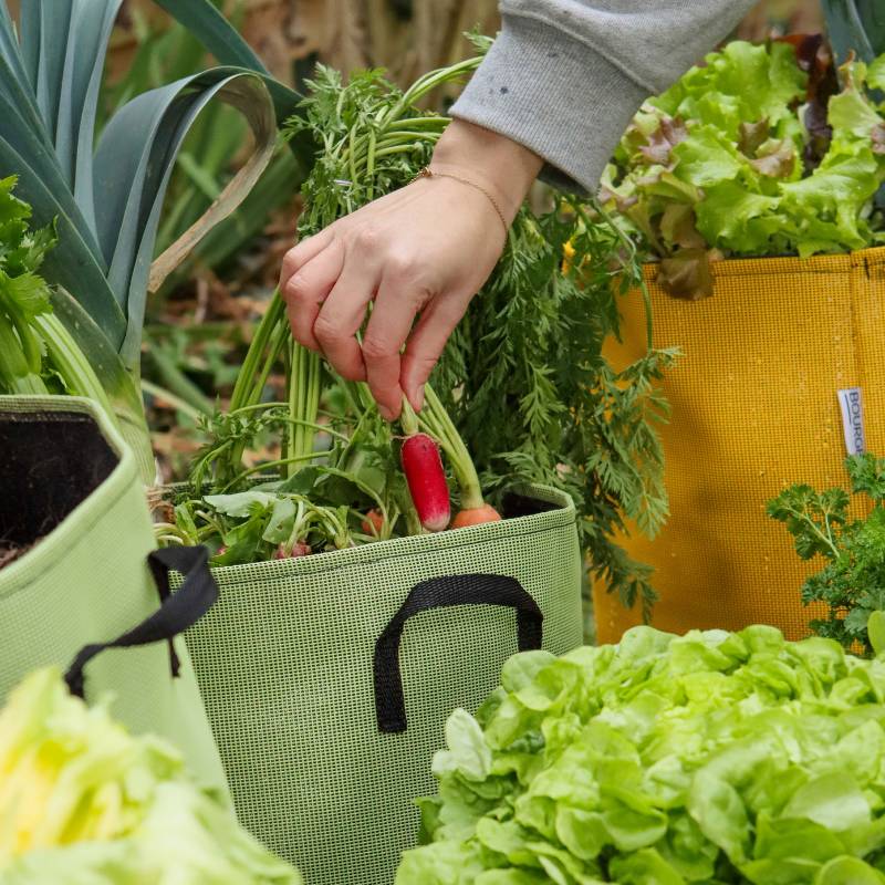 Bourgeon - Sac pour plantations respirant 20 cm Bleu - Bourgeon - Imagen 3
