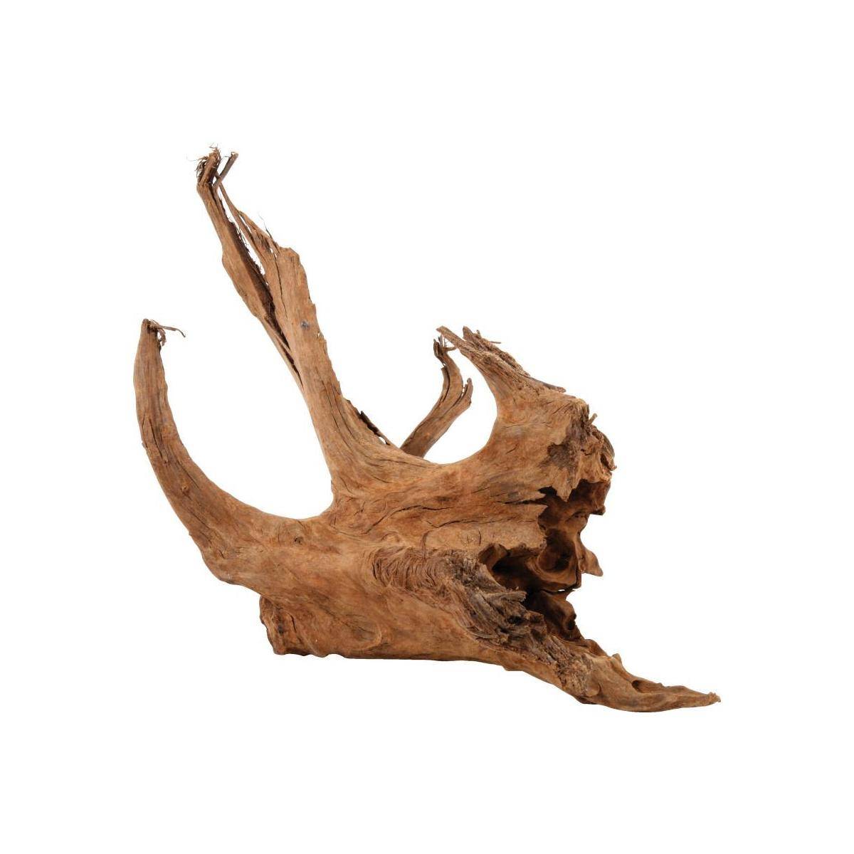 Zolux - Racine naturelle Mangrove 40/60 cm - Image 1