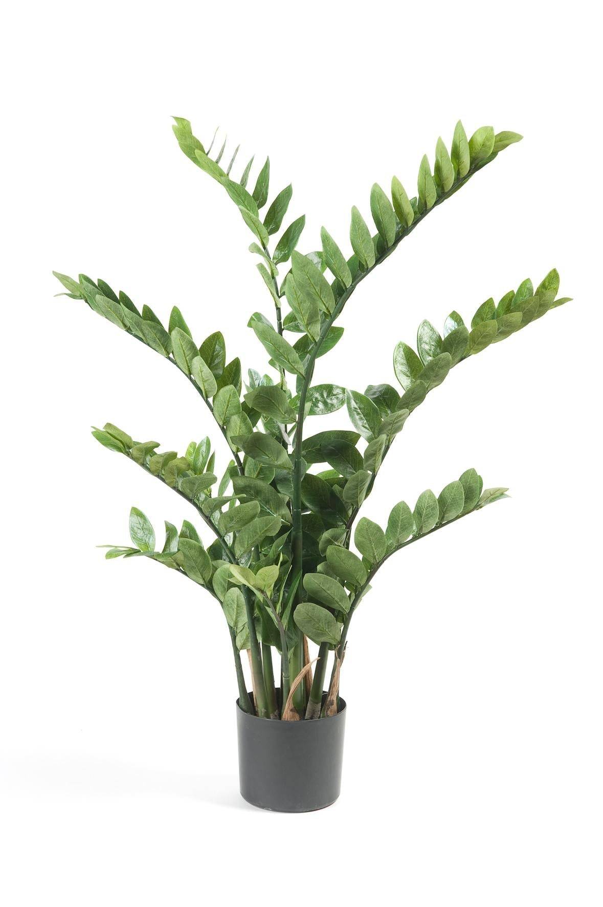 La Green Touch - Zamioculcas plante artificielle - h110cm, Ø13cm- La Green Touch - Imagen 5