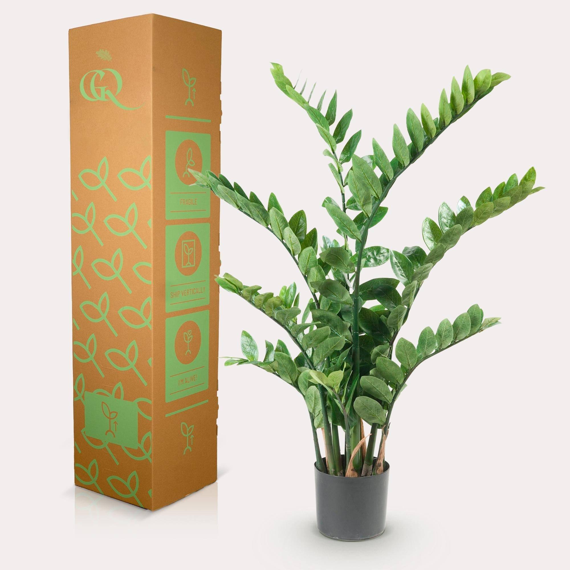 La Green Touch - Zamioculcas plante artificielle - h110cm, Ø13cm- La Green Touch - Imagen 3