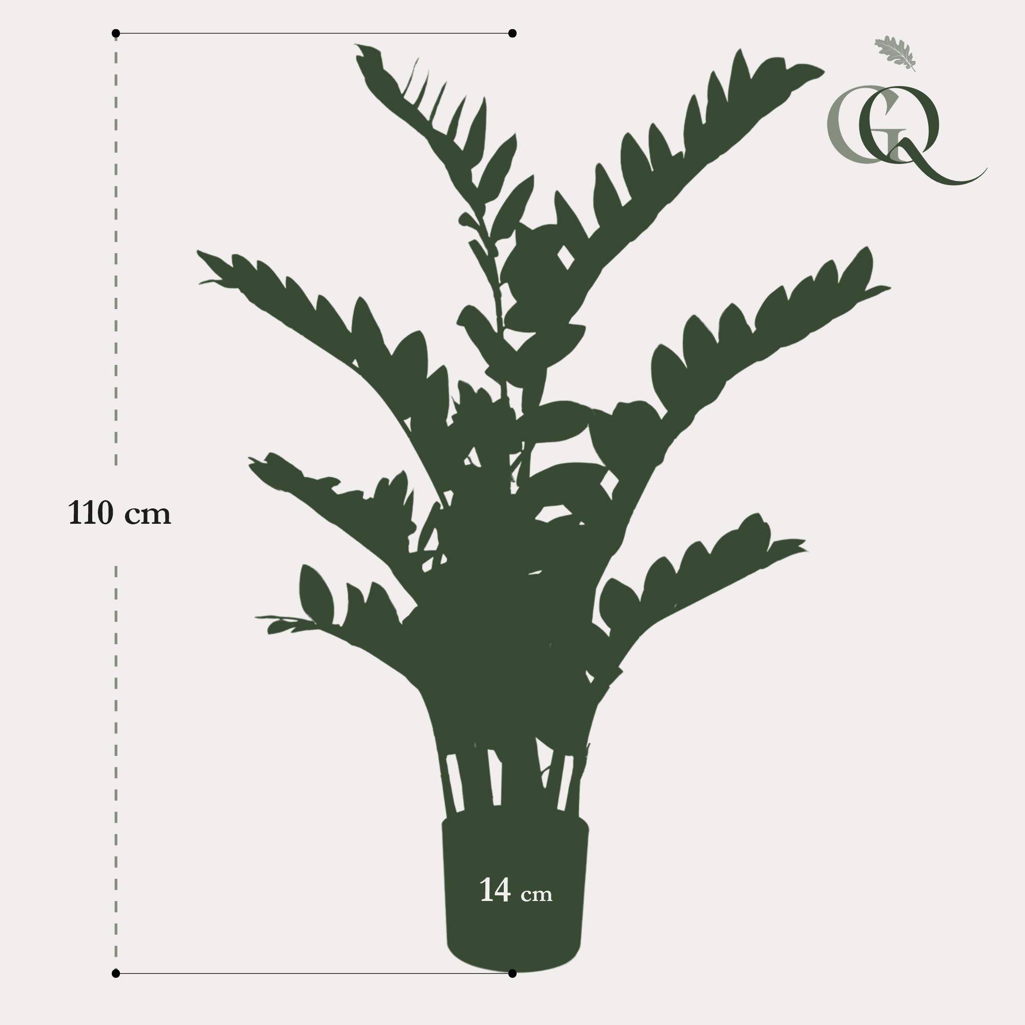 La Green Touch - Zamioculcas plante artificielle - h110cm, Ø13cm- La Green Touch - Imagen 4