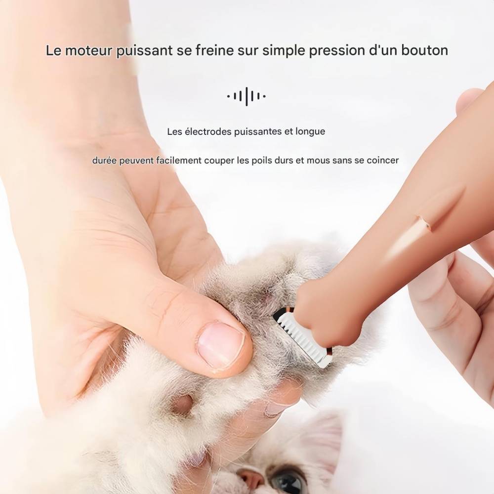 IntiMeg - Rasoir pour les pattes de chien et de chat Vert IntiMeg - Image 5
