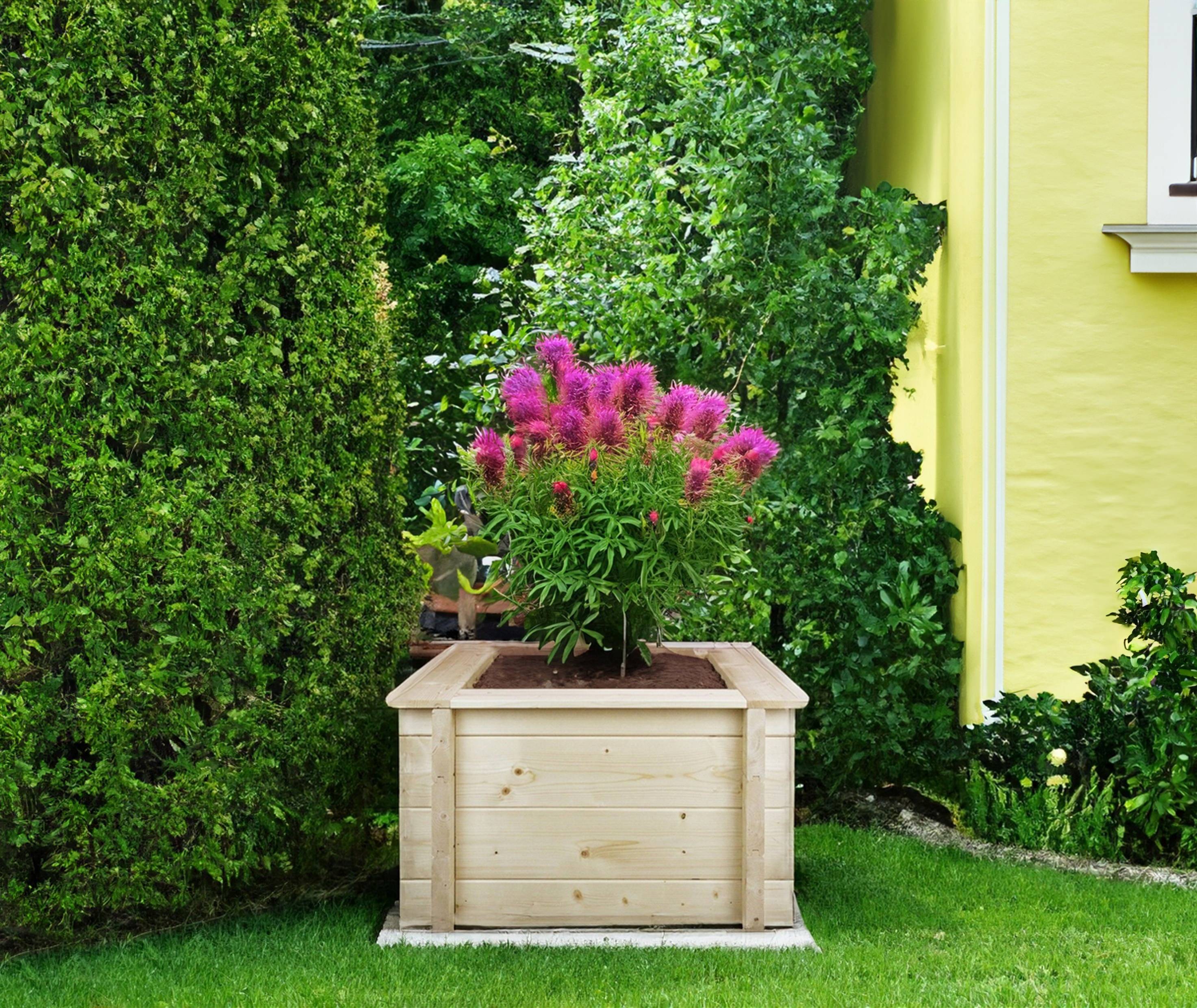 Timbela - Carre Potager Exterieur Bois 58x58xH35 cm - Jardinieres Exterieur pour Fleurs, Herbes aromatiques, Légumes - 28 mm d’épaisseur - Timbela M616 - Image 1
