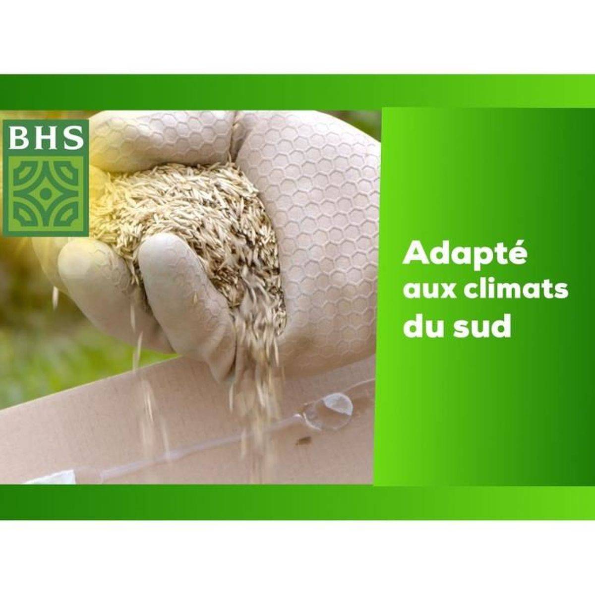 BHS - Semences de gazon rustique du Sud, engrais organique, 1 kg, 40 m² - BHS - Image 3