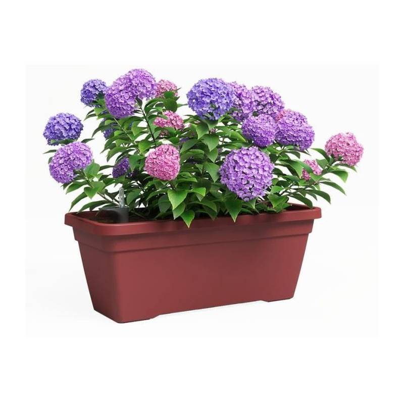 Artevasi - Jardiniere - Plastique - Rouge Foncé� - Rectangulaire - L77,9 X P24 X H22cm - Artevasi - Imagen 2