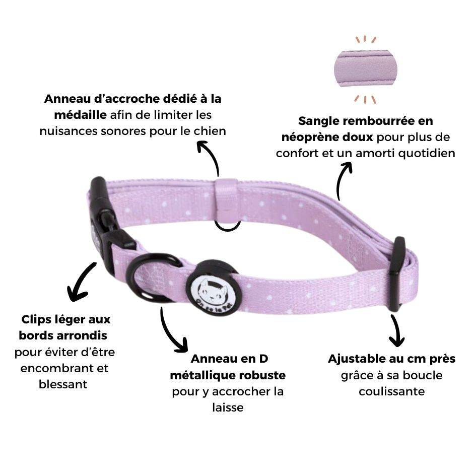 Collier réglable, rembourré et résistant - Lilas – On se la Pet - Image 5