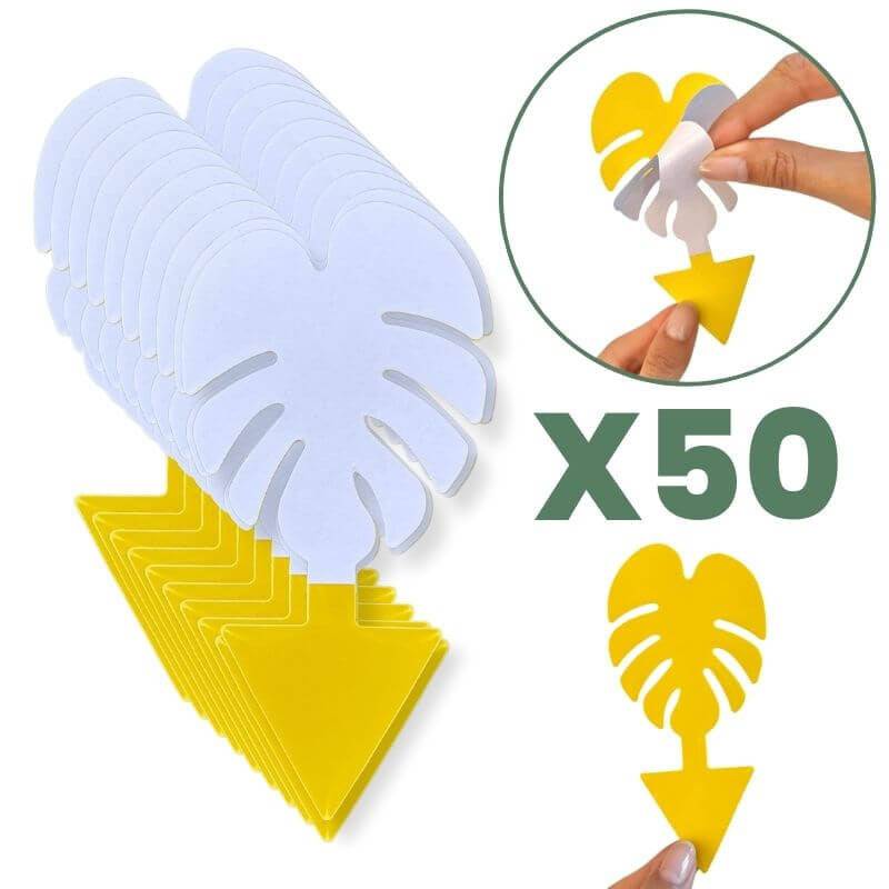Pièges Jaunes Englués Anti-Mouche de Terreau - Sciarides - Double Face - X50 - Image 8