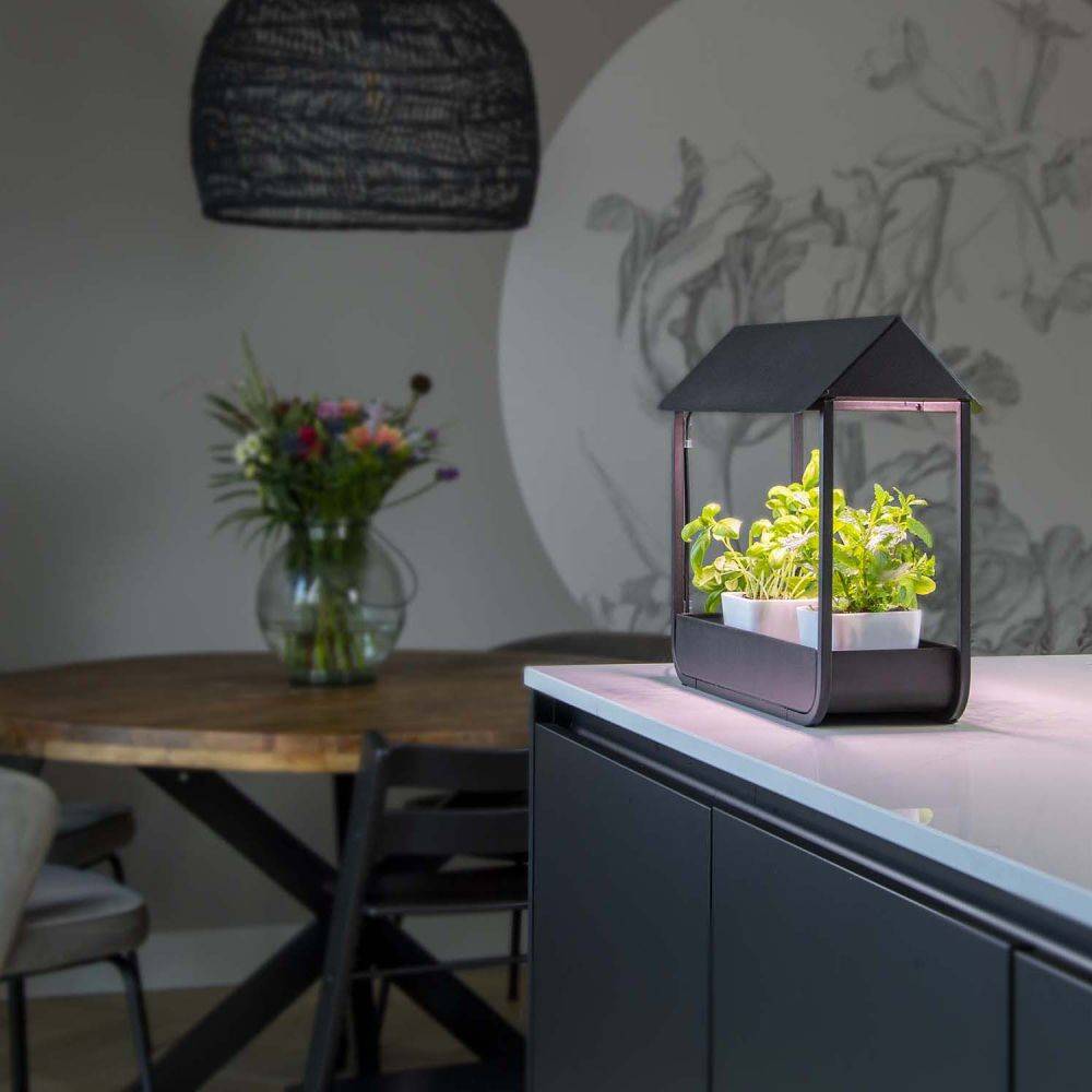 Esschert Design - Serre avec lampe de croissance design - Imagen 2
