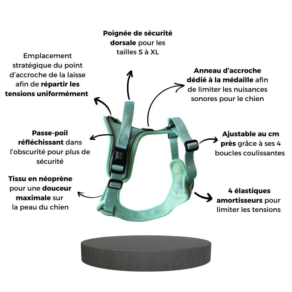 Harnais Premium pour chien confortable – Vert Pastel – On se la Pet - Image 5