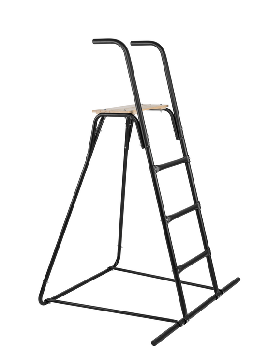 Toboggan échelle autoportant Swing King