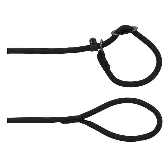 Laisse Aiden ø12 mm L130 cm anti traction, noir, pour chien - Image 6
