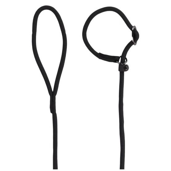 Laisse Aiden ø12 mm L130 cm anti traction, noir, pour chien - Image 7