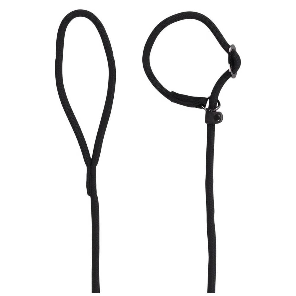 Laisse Aiden  ø12 mm L130 cm anti traction, noir, pour chien - Imagen 7