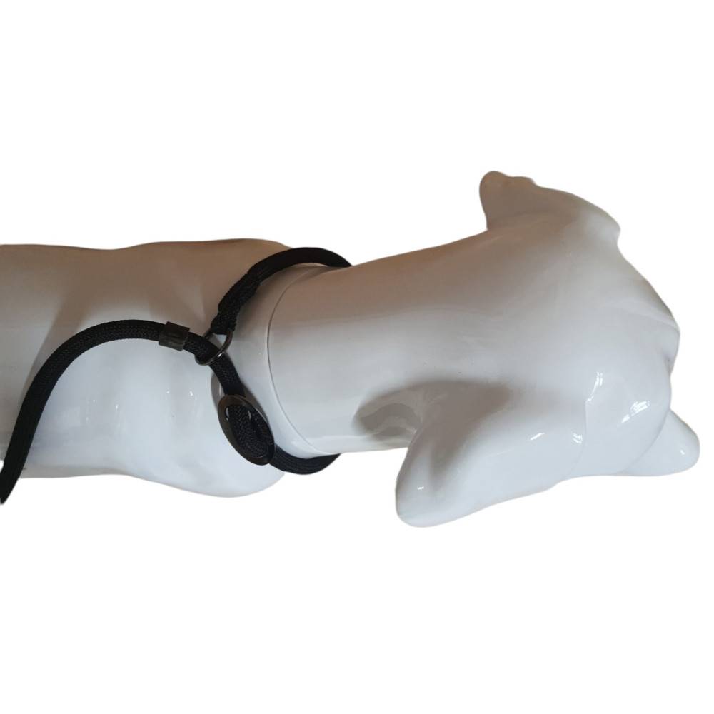 Laisse Aiden  ø12 mm L130 cm anti traction, noir, pour chien - Imagen 2