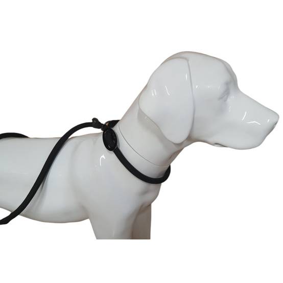 Laisse Aiden ø12 mm L130 cm anti traction, noir, pour chien - Image 4