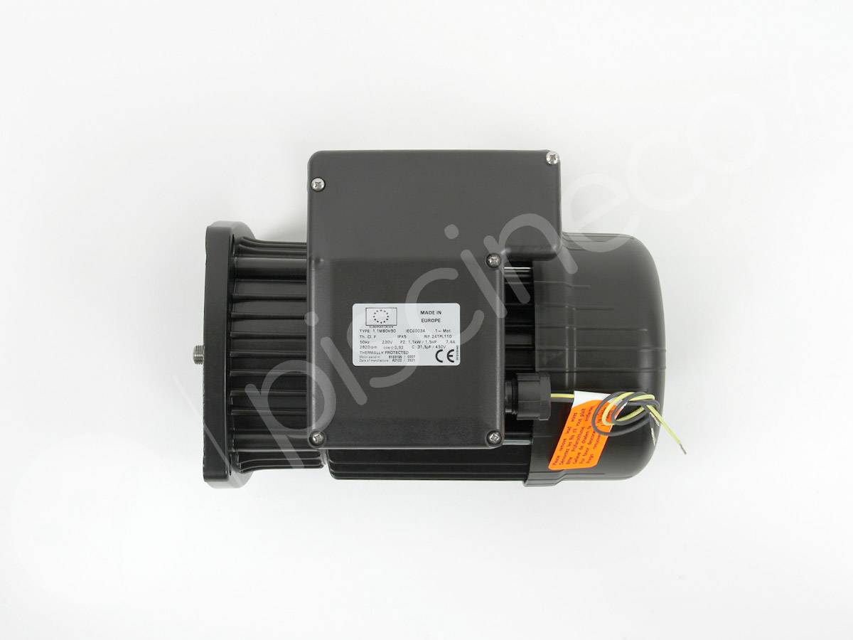 Moteur pour pompes Ultraflow, Whisperflow et Superflo 1,50 CV Mono - Pentair - Imagen 2