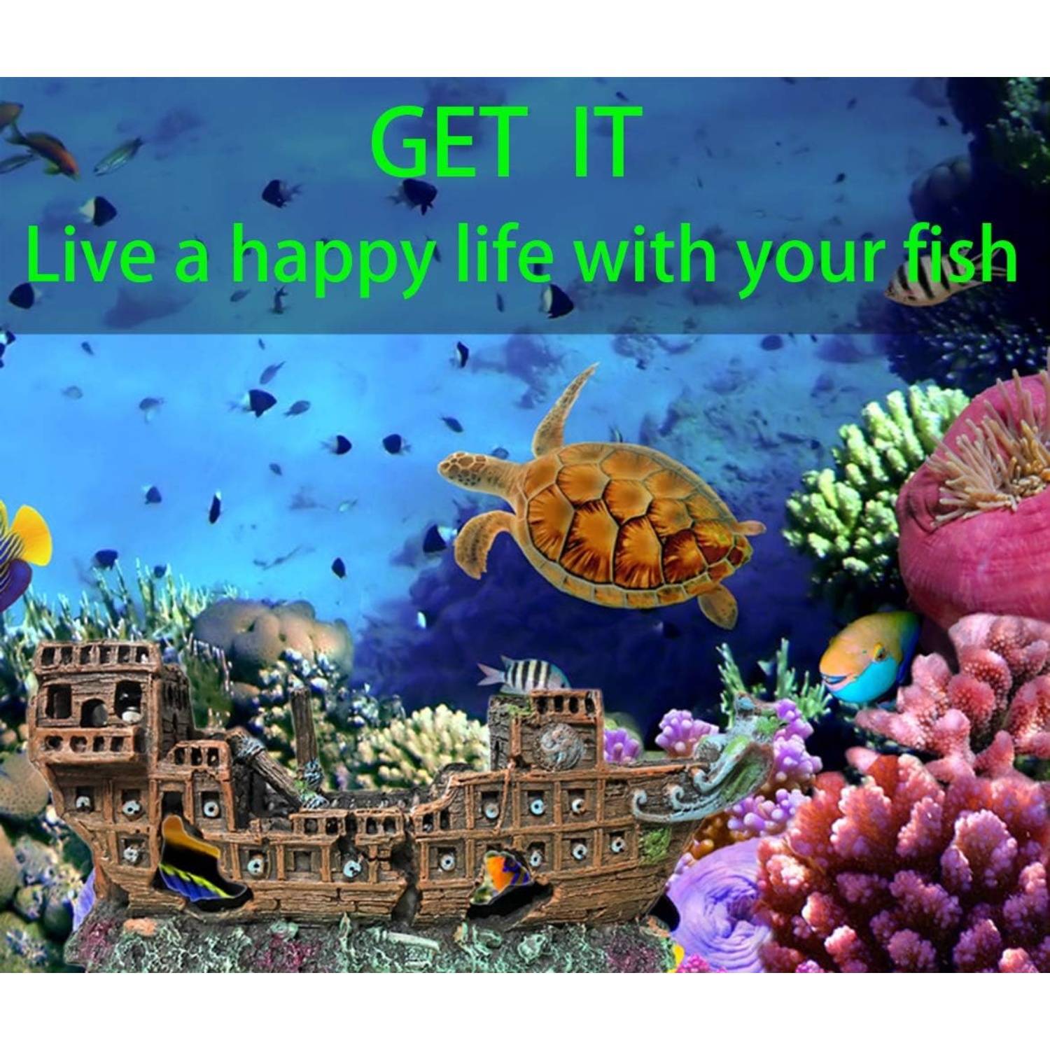 Décor Aquarium Résine DtopbuyAge - Image 5
