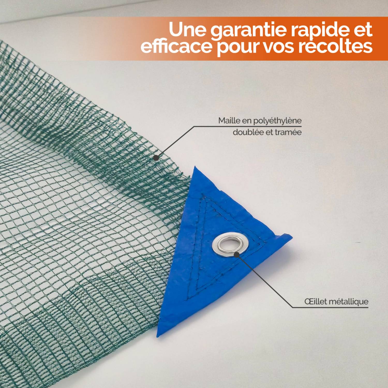 Linxor - Filet de récolte pour olives ou autres avec oeillets et ouverture tronc - 8 x 8 m - Vert - Linxor - Imagen 3