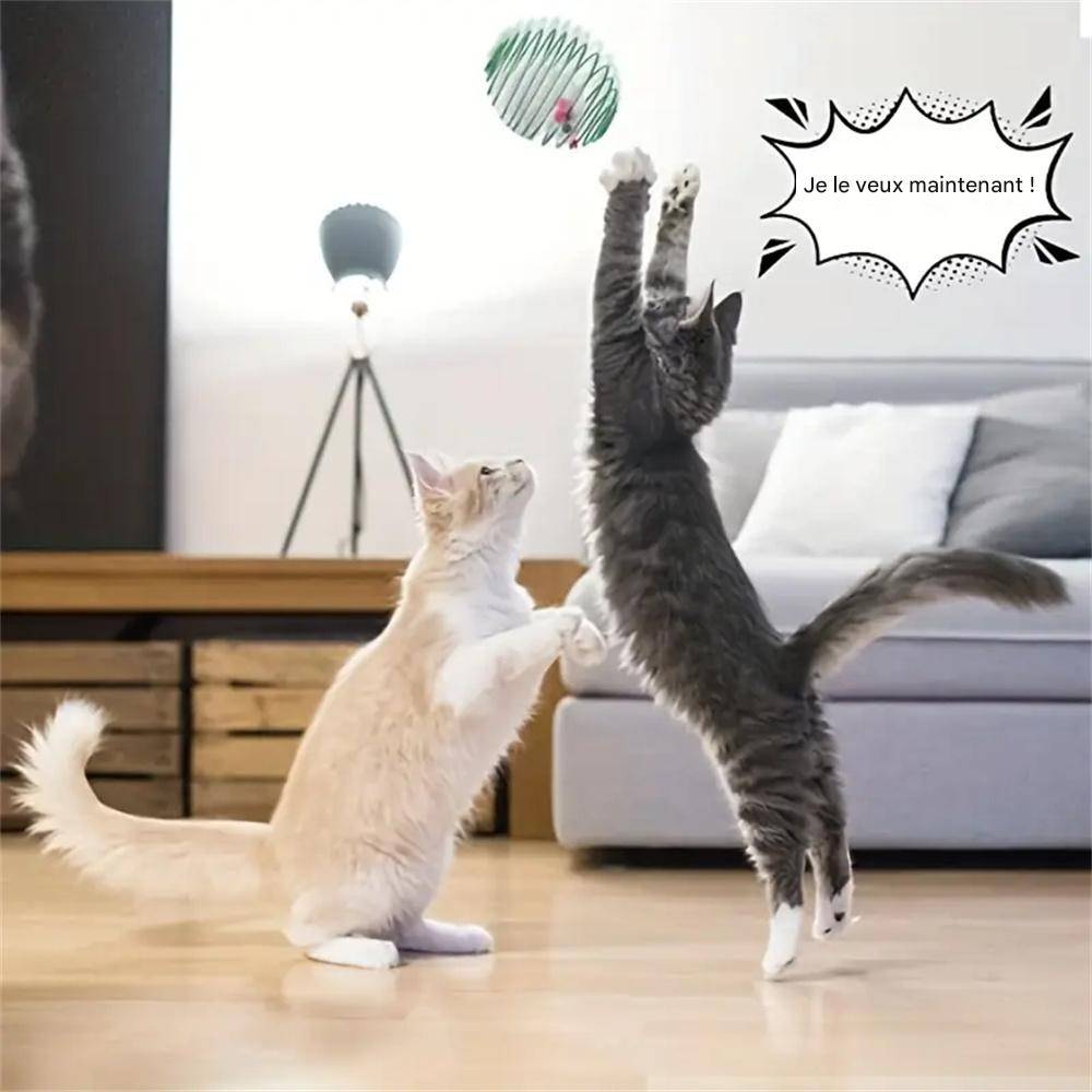 DtopbuyAge - Ensemble de jouets souris en peluche DtopbuyAge - Image 4