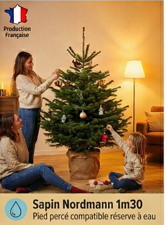 Sapin de Noël Nordmann naturel  110-130 cm pied percé - Image 3