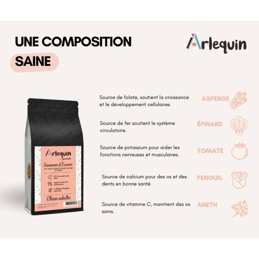 CROQUETTE CHIEN SUPERFOOD SANS CÉRÉALES ARLEQUIN IRRÉSISTIBLE Saumon d'Ecosse 12 kg - Imagen 2