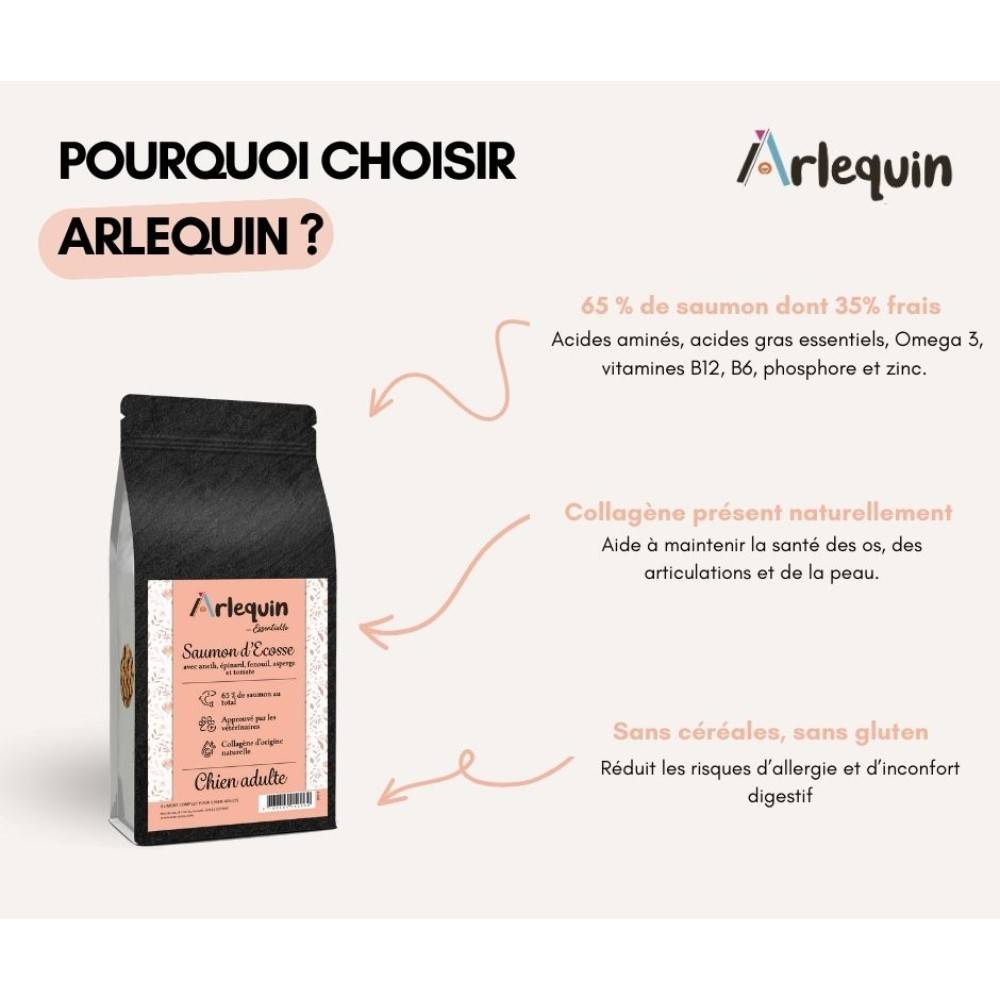 CROQUETTE CHIEN SUPERFOOD SANS CÉRÉALES ARLEQUIN IRRÉSISTIBLE Saumon d'Ecosse 12 kg - Imagen 3
