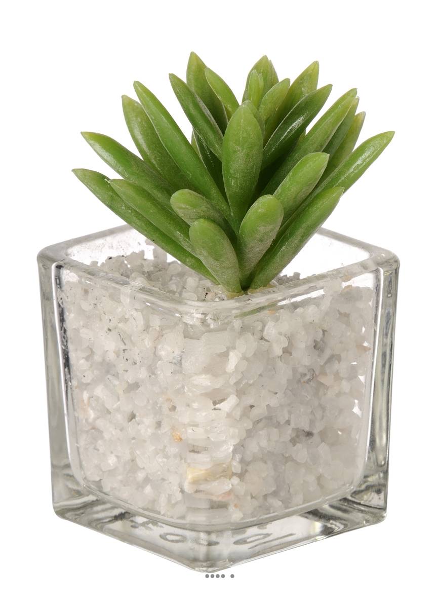 Artificielles - Agave artificielle succulente cactée en pot verre et cailloux blanc - couleur: Vert - div: B