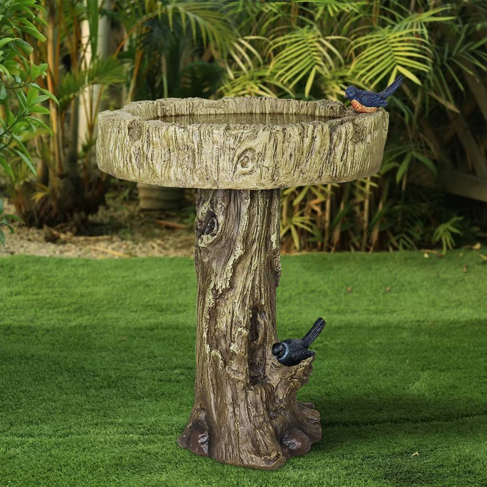 Fontaine Oiseaux Jardiland