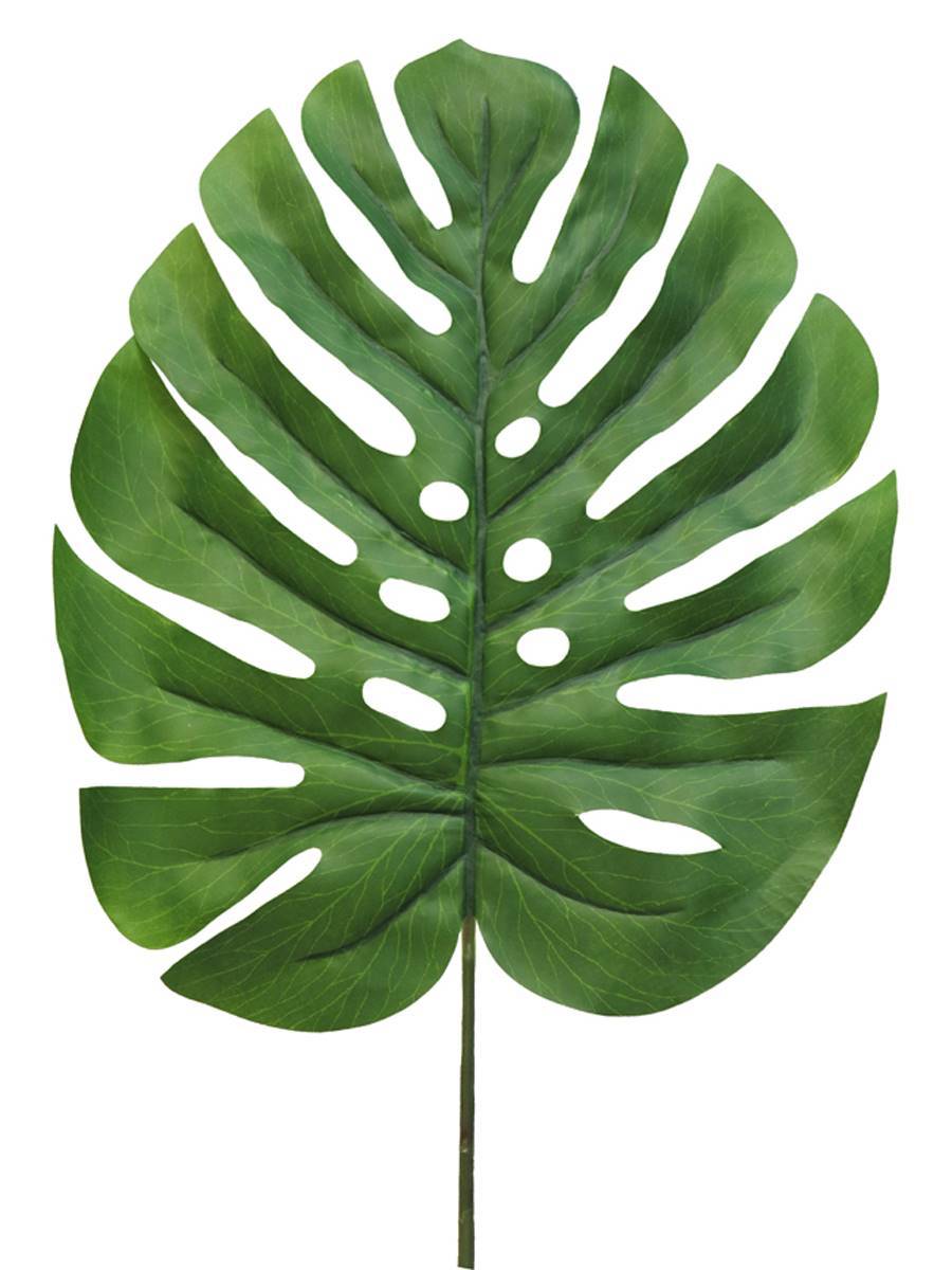 Artificielles - Feuille de Monstera artificielle, H90cm, tissu plastifié, D30cm - BEST - Imagen 2