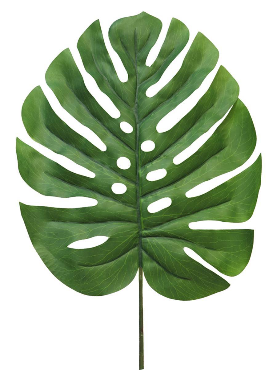 Artificielles - Feuille de Monstera artificielle, H90cm, tissu plastifié, D30cm - BEST - Imagen 1