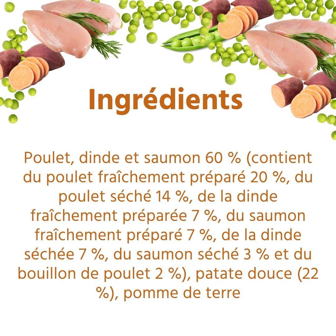 Wildfang - Wildfang Croquettes Junior au poulet pour chiots - sans céréales - 6 kg - Image 4