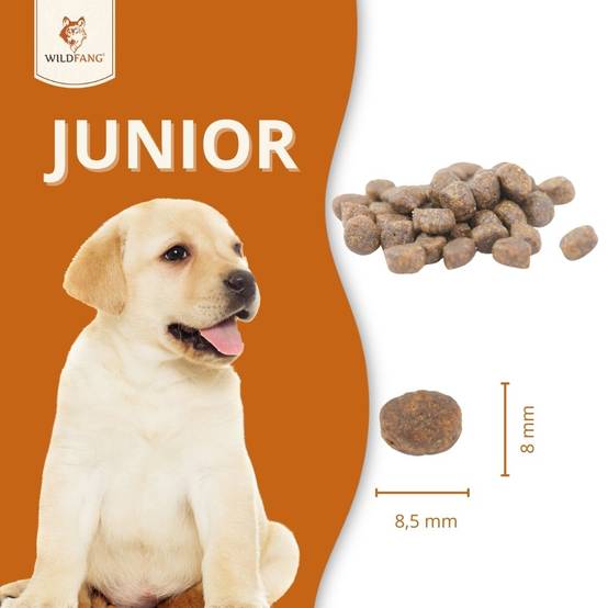 Wildfang - Wildfang Croquettes Junior au poulet pour chiots - sans céréales - 6 kg - Image 5