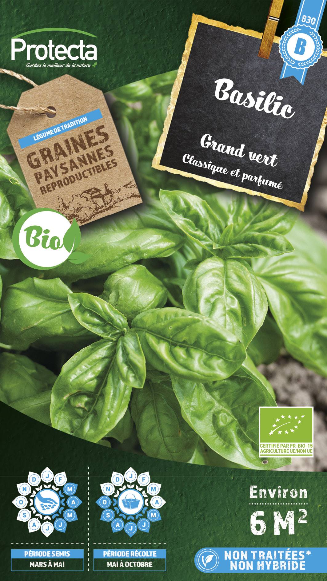 Protecta - Semence Basilic Grand Vert BIO