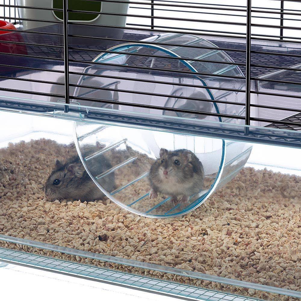 Ferplast - Ferplast Cage pour hamsters FAVOLA, maisonnette pour petits rongeurs, plastique robuste et métal, 2 étages, accessoires inclus - Imagen 5