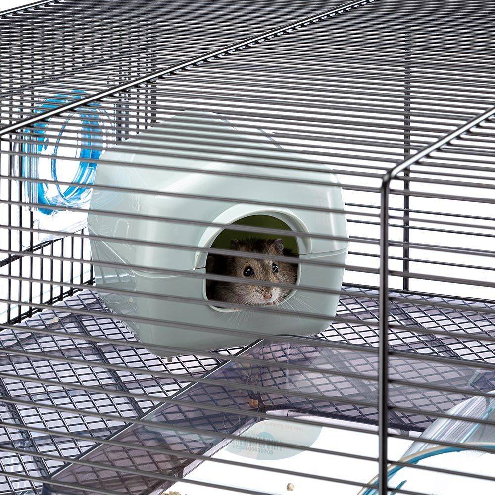 Ferplast - Ferplast Cage pour hamsters FAVOLA, maisonnette pour petits rongeurs, plastique robuste et métal, 2 étages, accessoires inclus - Imagen 6
