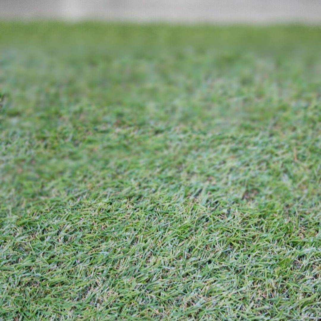 Gazon Synthétique 1X10M (Largeur X Longueur) Épaisseur 20MM Type Quatre-tons - Imagen 5