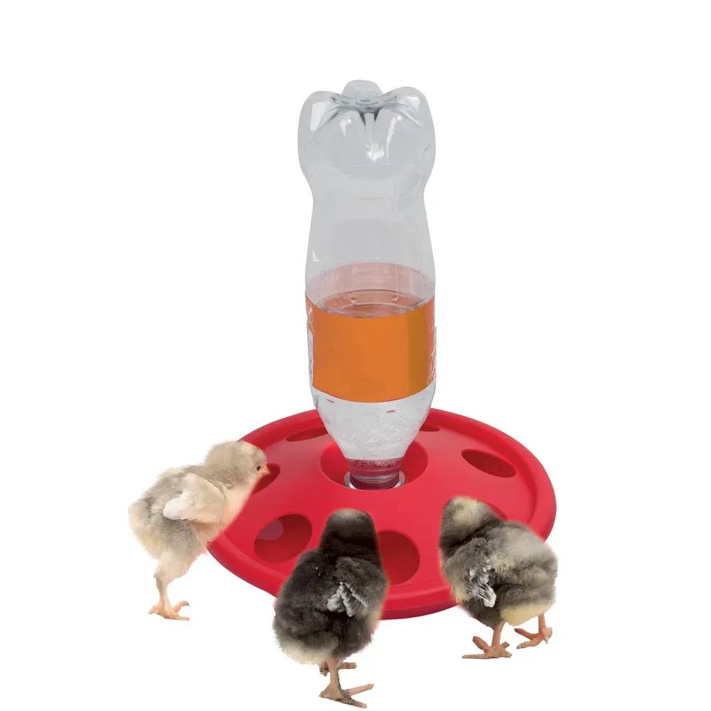 Olba - Abreuvoir porte bouteille pour poussins et cailles Diamètre 24 cm OLBA - Image 1