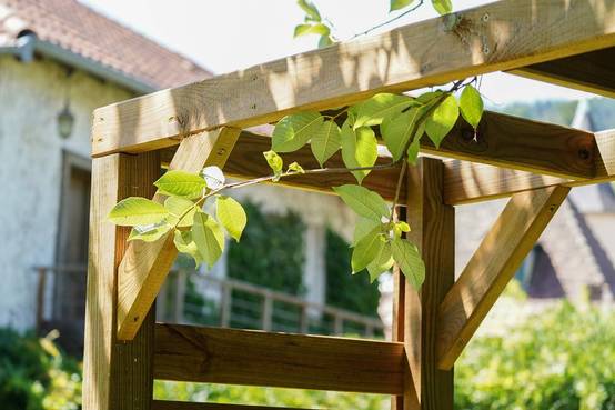 Jardipolys - Pergola LIGN Z 160 x 60 x H 214 cm passage - pin classe 3 FSC ® Jardipolys - Image 5