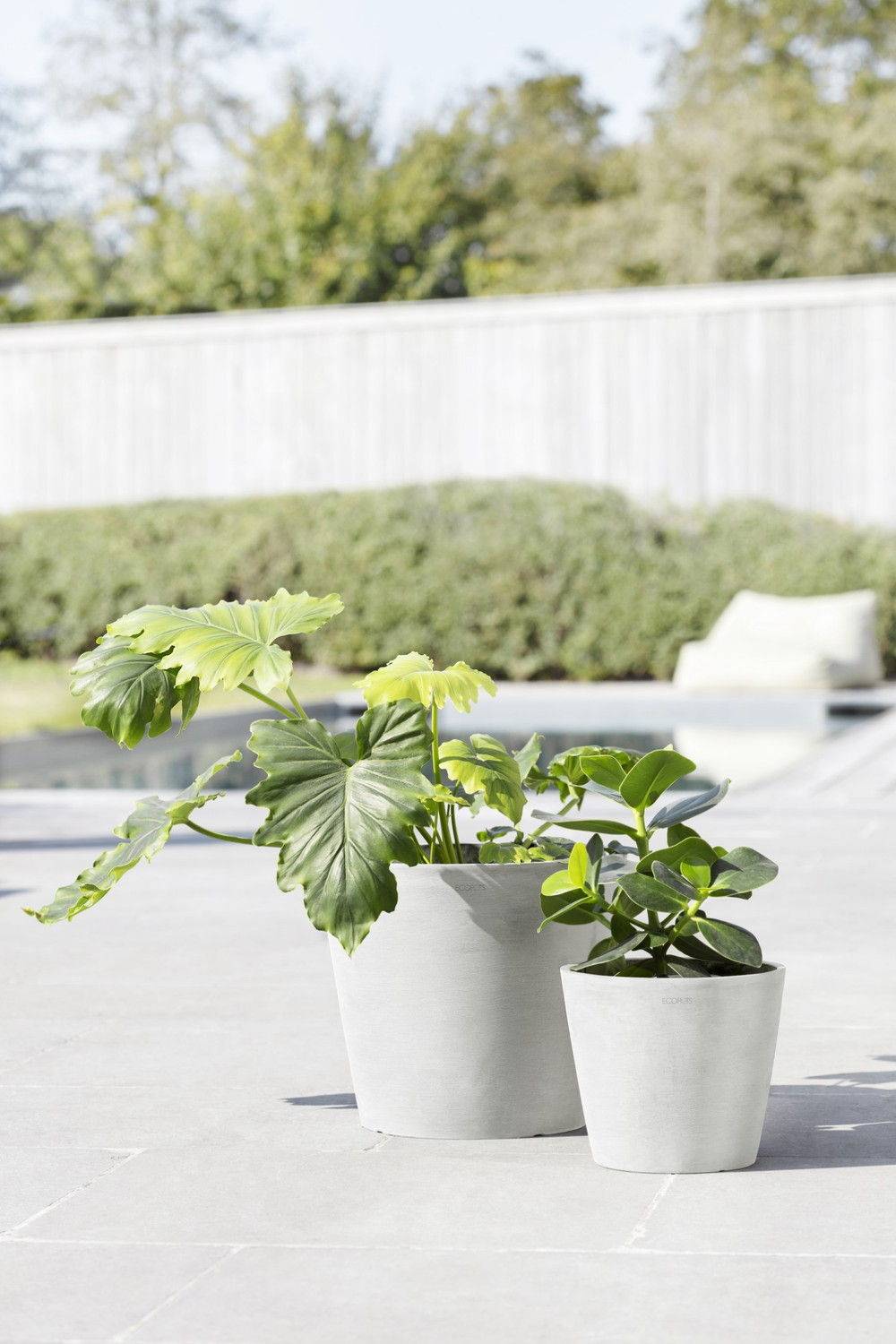 Ecopots - Pot Rond Amsterdam 30 Blanc Pur - Ø 30 x H. 26,3 cm - 12,8 L ECOPOTS - Imagen 4