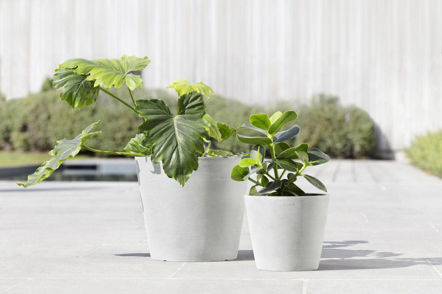Ecopots - Pot Rond Amsterdam 30 Blanc Pur - Ø 30 x H. 26,3 cm - 12,8 L ECOPOTS - Imagen 5