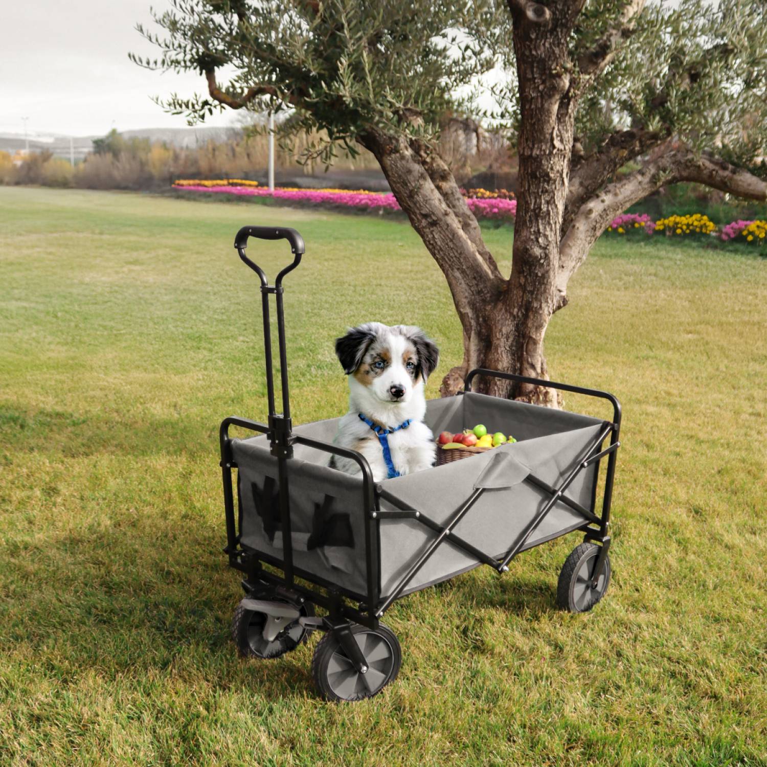 Chariot de transport, remorque de jardin pliable à roulettes - 90 Kg - Gris - Linxor - Image 4