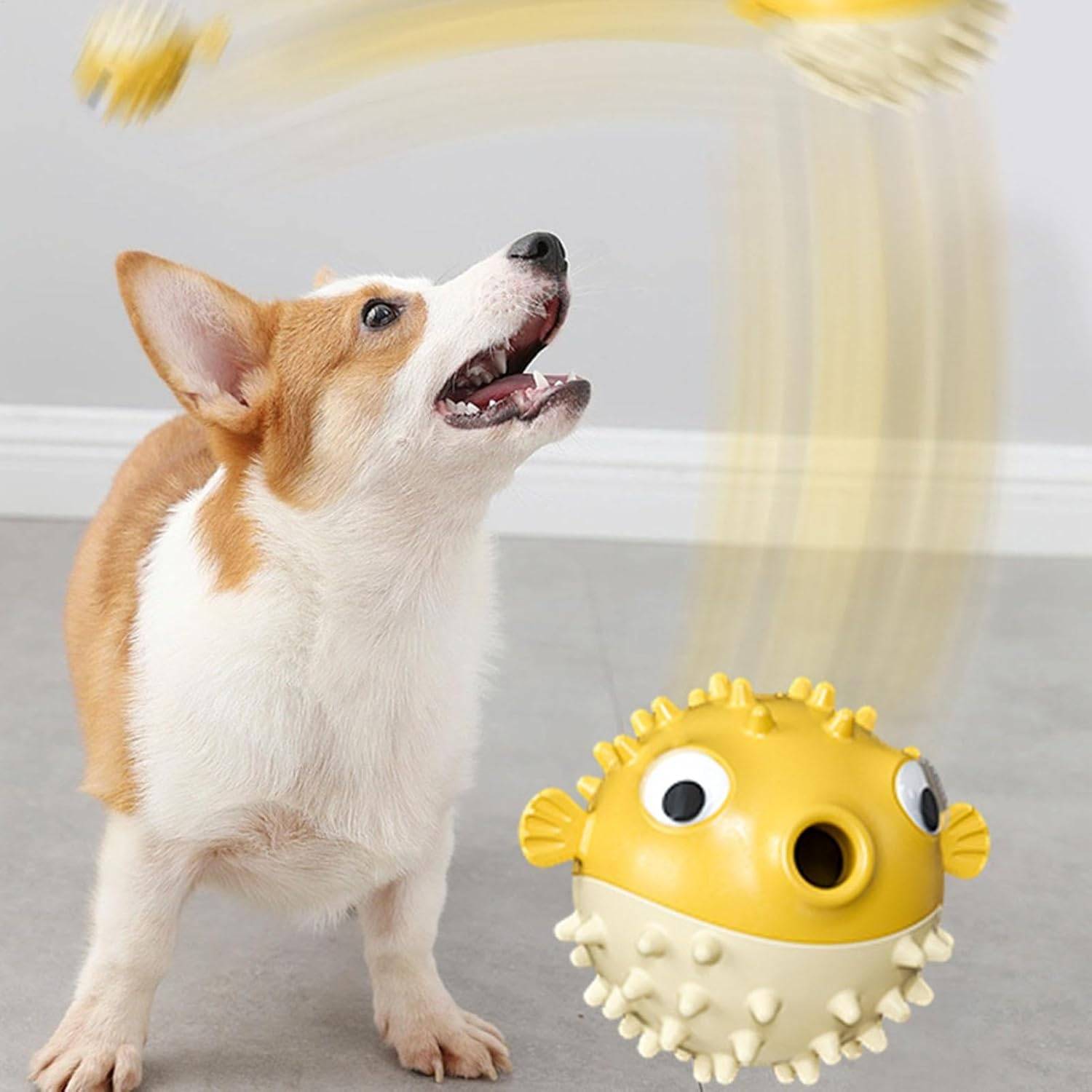 DtopbuyAge - Jouets chiens solides - Anti-destruction & interactifs DtopbuyAge - Image 3