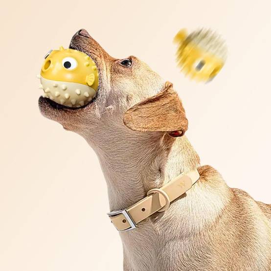 DtopbuyAge - Jouets chiens solides - Anti-destruction & interactifs DtopbuyAge - Image 2