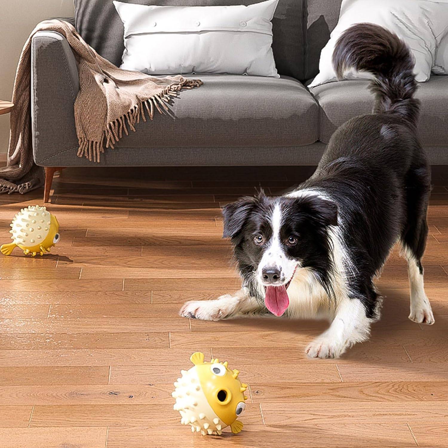 DtopbuyAge - Jouets chiens solides - Anti-destruction & interactifs DtopbuyAge - Image 5