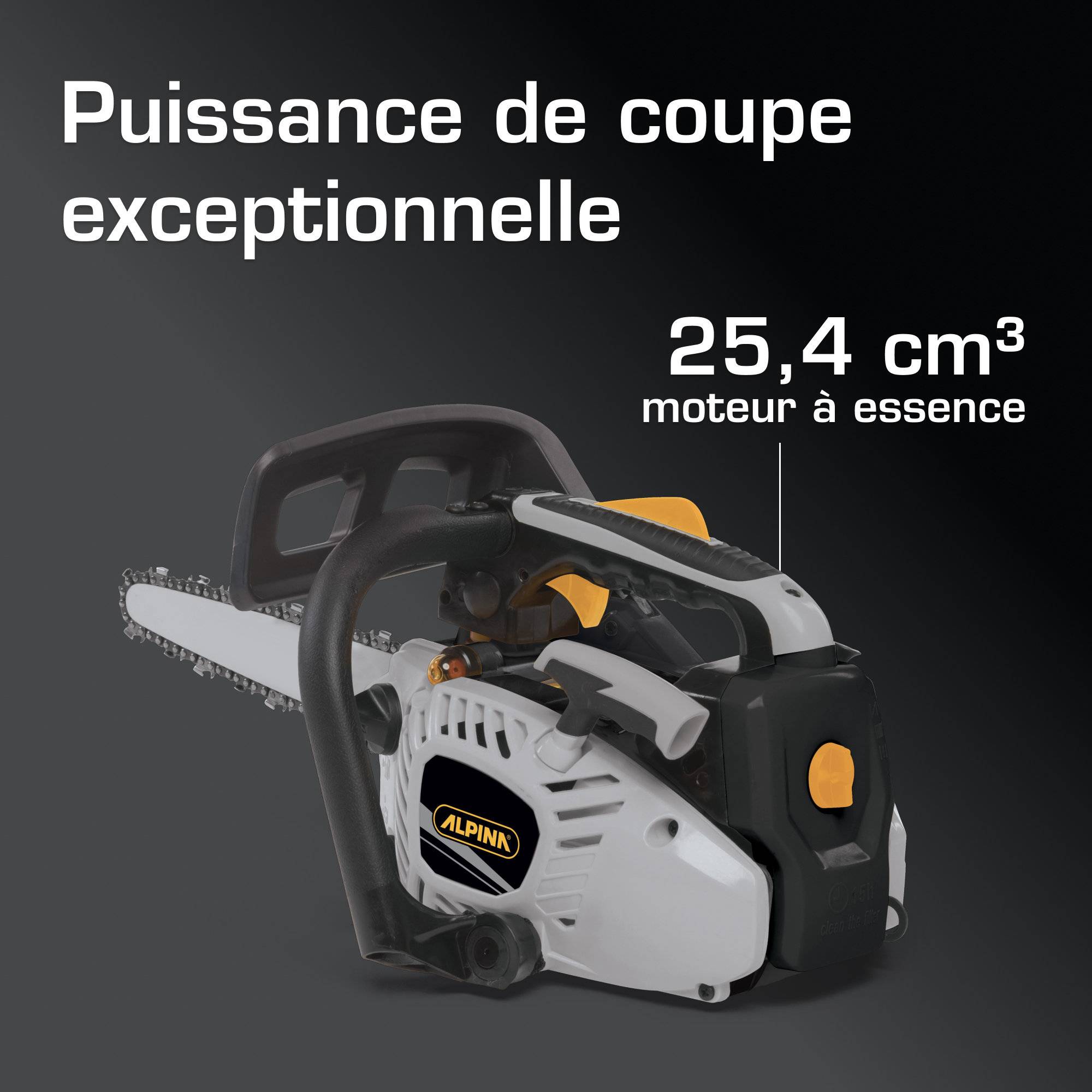 Alpina - Tronçonneuse thermique d'élagage APR 25 C, Moteur 25,4 cc, Guide 25 cm avec pompe à huile automatique et frein de chaîne - Alpina - Image 3